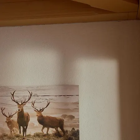 فندق Parkhotel Kirchberg كيرشبرغ ان تيرول