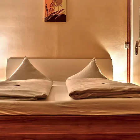 Parkhotel Kirchberg فندق 3*