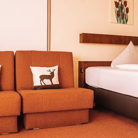 Parkhotel Kirchberg ホテル