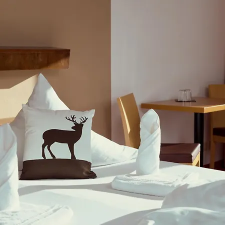 Parkhotel Kirchberg 3*